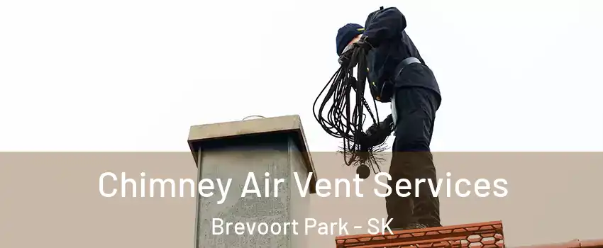 Chimney Air Vent Services Brevoort Park - SK