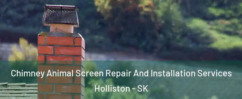 Chimney Animal Screen Repair And Installation Services Holliston - SK