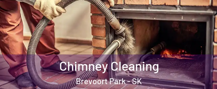 Chimney Cleaning Brevoort Park - SK