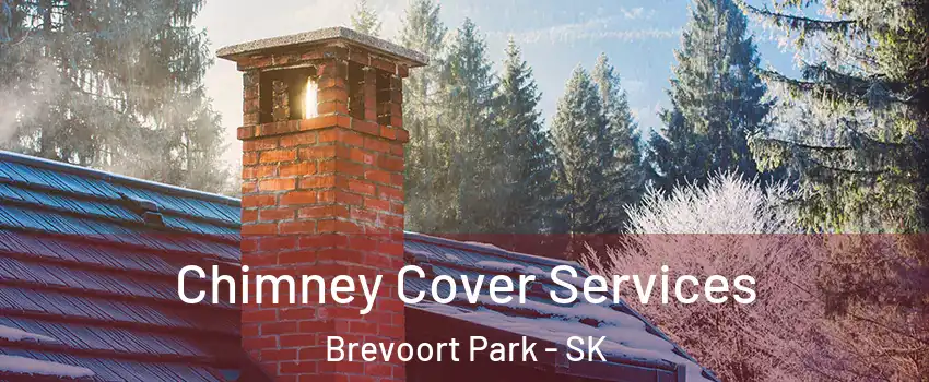 Chimney Cover Services Brevoort Park - SK