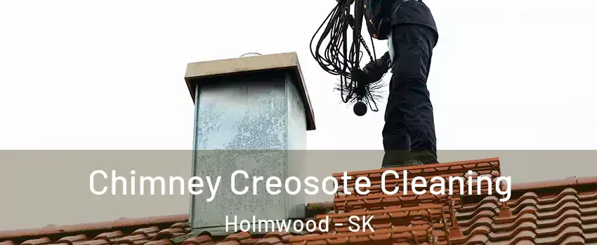 Chimney Creosote Cleaning Holmwood - SK