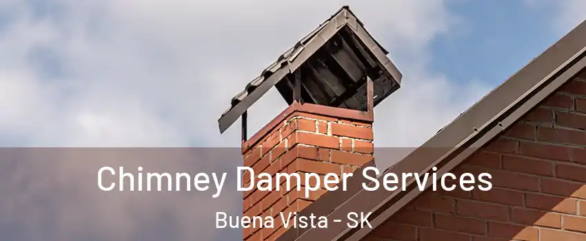 Chimney Damper Services Buena Vista - SK