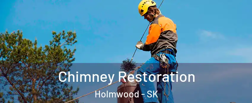 Chimney Restoration Holmwood - SK
