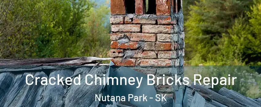Cracked Chimney Bricks Repair Nutana Park - SK