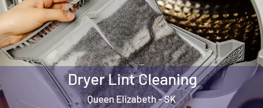 Dryer Lint Cleaning Queen Elizabeth - SK