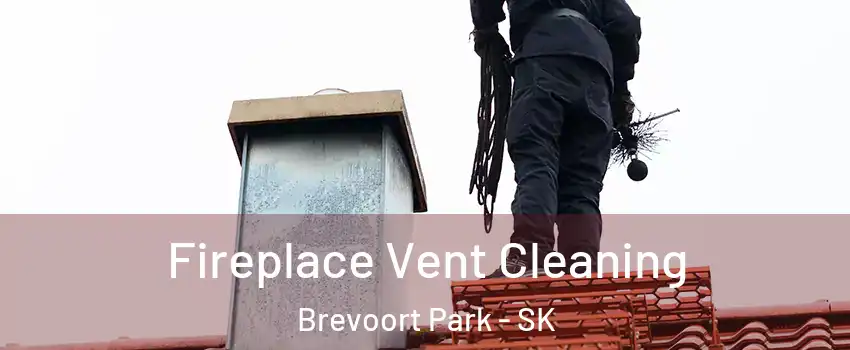 Fireplace Vent Cleaning Brevoort Park - SK