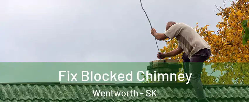 Fix Blocked Chimney Wentworth - SK