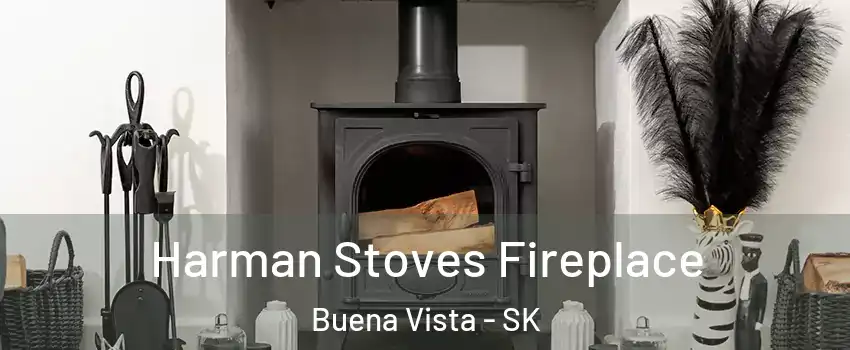Harman Stoves Fireplace Buena Vista - SK