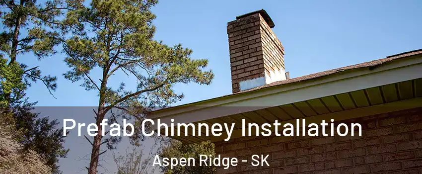 Prefab Chimney Installation Aspen Ridge - SK